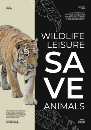 简约野生动物保护宣传模板