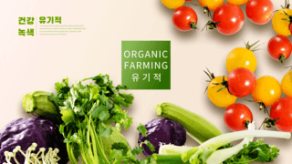 环保绿色健康海报模板_绿色健康有机蔬菜横幅