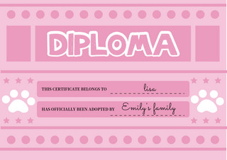 专利证书海报模板_粉色儿童创意宠物证书