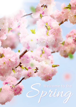 绿色绿色叶子海报模板_春天桃花枝叶粉色欢迎宣传海报