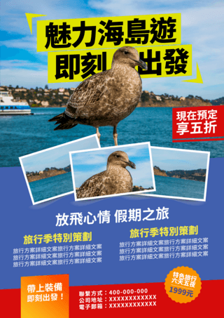 电视机照片海报模板_海边海鸟照片色块海岛游假期旅行宣传单张