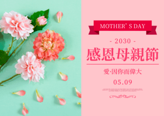 康乃馨花卉花瓣感恩母亲节节日海报