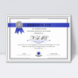 蓝色边框证书海报模板_银色边框质感花纹高级证书