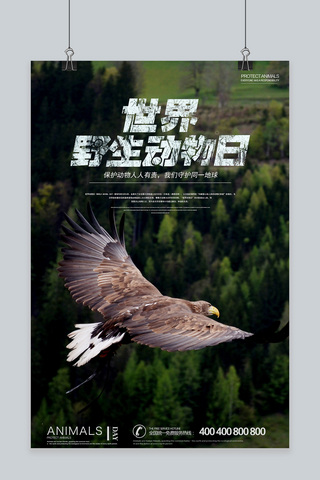 野生动物保护海报模板_千库原创世界野生动物日保护动物宣传海报