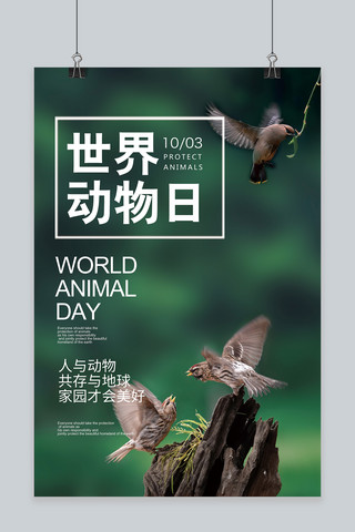 野生动物保护海报模板_千库原创世界动物日保护动物宣传