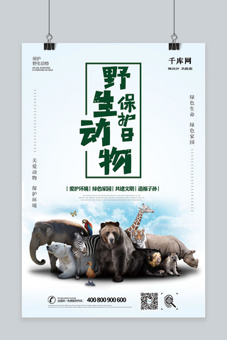 野生动物保护海报模板_千库原创野生动物保护日海报