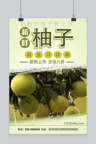 新鲜柚子精简促销秋季水果海报