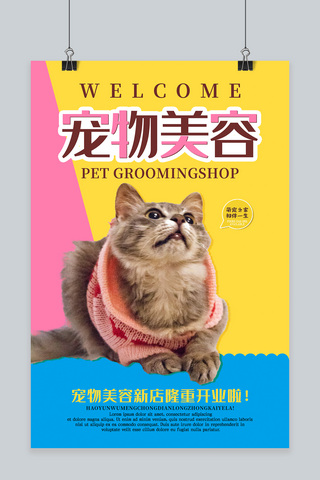 萌宠店促销海报模板_创意简约宠物美容店开业海报