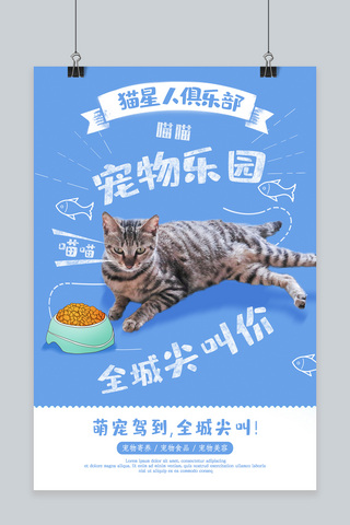 开心小猫海报模板_创意简约宠物乐园海报