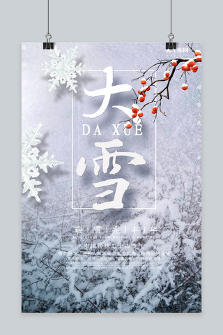 瑞雪兆丰年传统二十四节气大雪海报