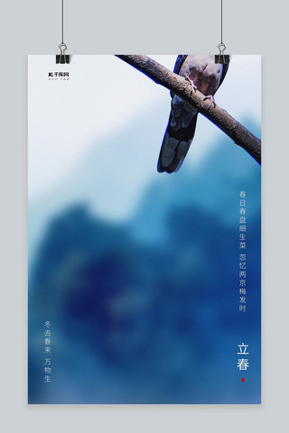 立春鸟树枝蓝色写实海报