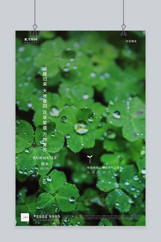 雨水绿叶绿色写实海报