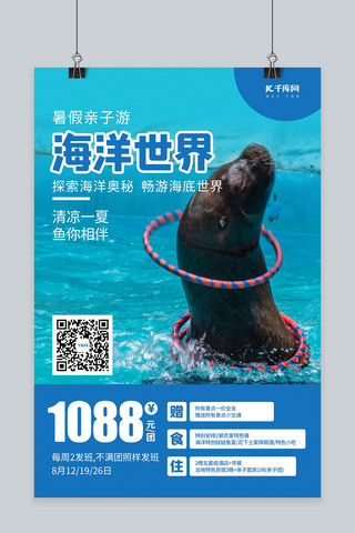海洋世界海豹蓝色调简约风格海报