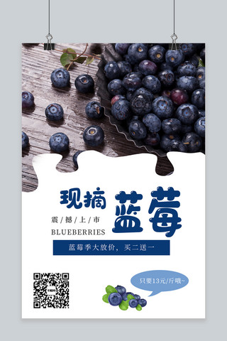 水果促销蓝莓蓝色营销海报