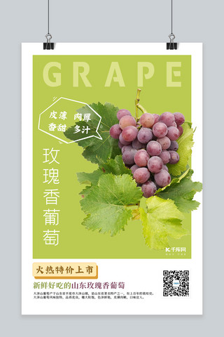 丰收葡萄海报模板_水果促销葡萄绿色简约创意海报