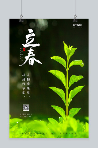 中国节气图海报模板_立春新芽绿色摄影图海报