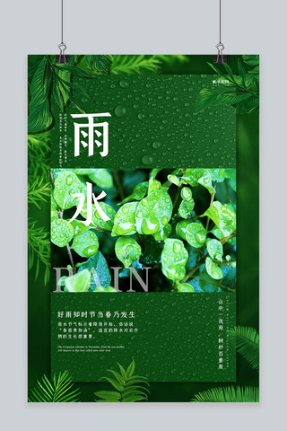 雨水节气树叶绿色清新简洁海报