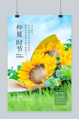 仲夏之夜海报模板_夏天 仲夏时节向日葵黄绿摄影图海报