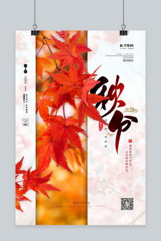 秋分节气枫叶红色简约海报
