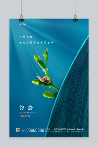 绿植背景素材海报模板_惊蛰节气蜗牛绿植蓝色简约海报