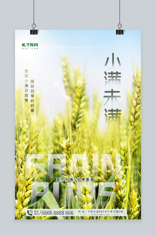 二十四节气之小满节日麦子绿色中国风海报