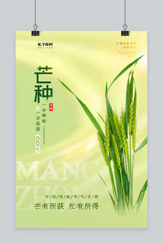 芒种节气麦子绿色中国风海报