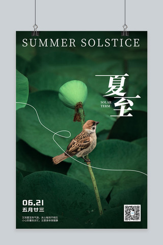 夏至麻雀绿色摄影海报