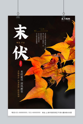 秋天枫叶海报模板_末伏节气秋季秋天枫叶树叶摄影图深色简约海报