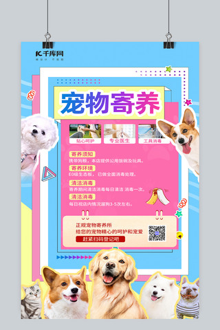 蓝粉色海报模板_春节宠物寄养宠物猫宠物狗蓝粉色卡通风海报