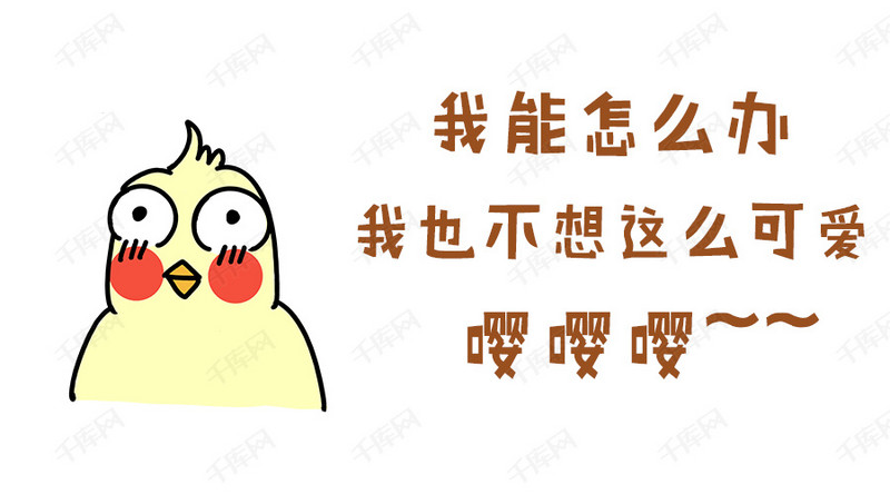 鹦鹉表情搞笑封面卡通号男人图公众下载很可爱骚图的模版图片