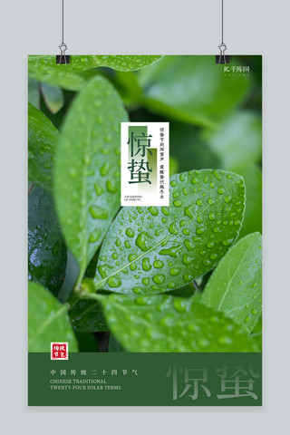 传统简约中式海报模板_惊蛰节气叶子绿色简约中式海报