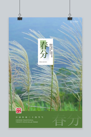 传统简约中式海报模板_春分节气芦苇绿色简约中式海报