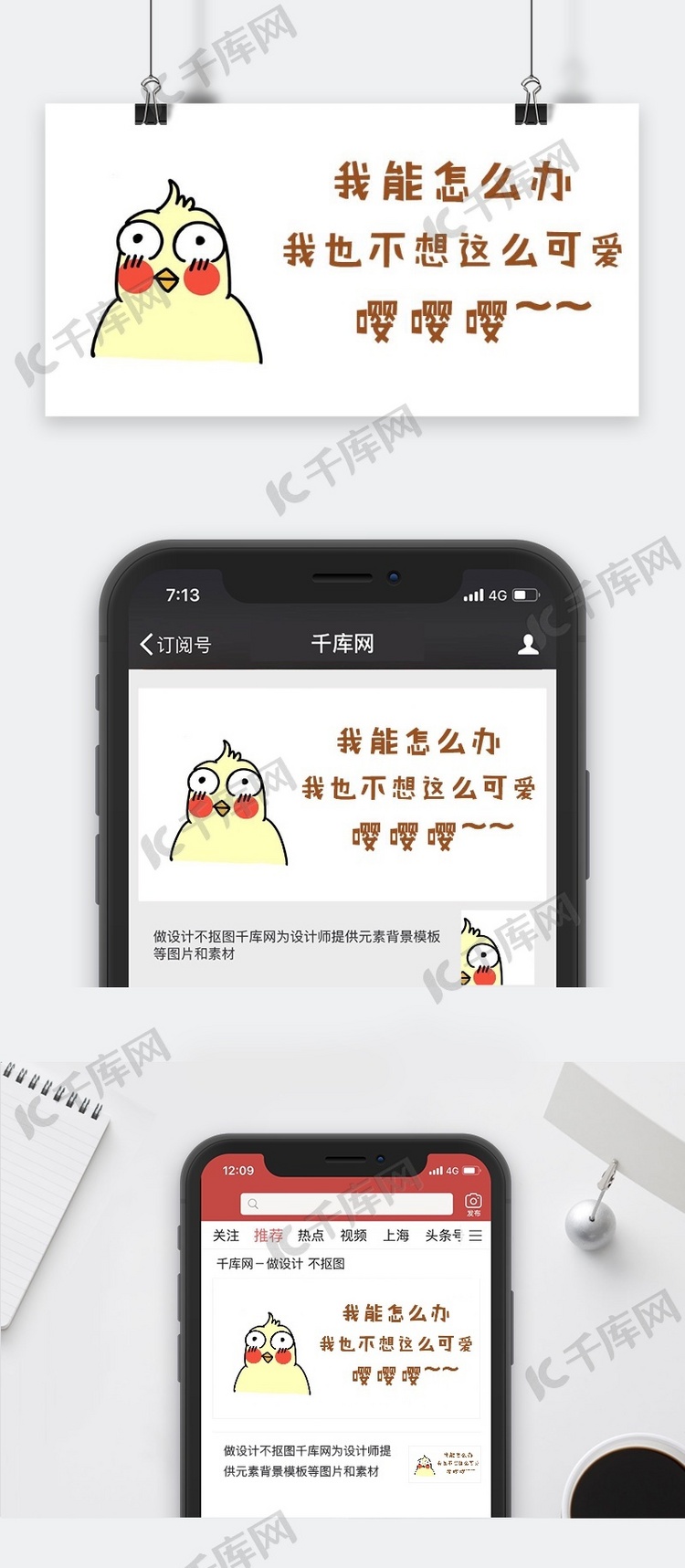 千库原创卡通鹦鹉可爱表情包公众号封面图