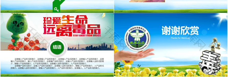 国际禁毒日宣传教育PPT模版免费下载_ppt模版