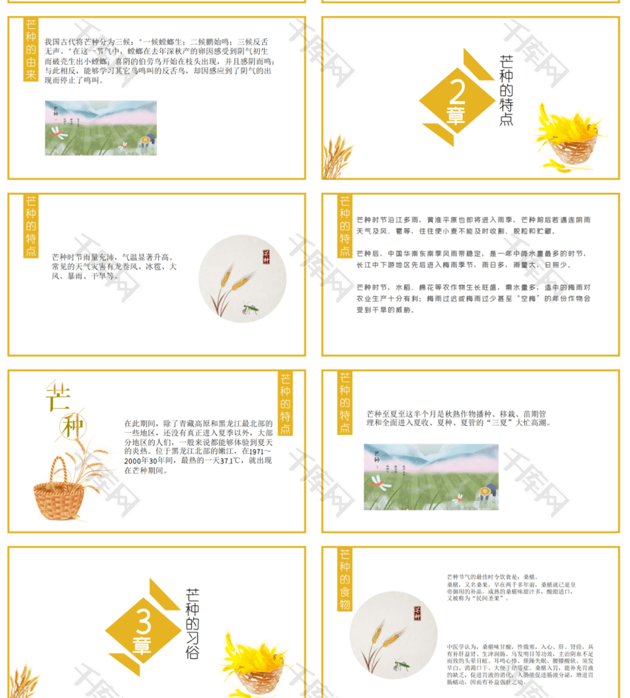 中国风传统二十四节气芒种介绍PPT模板