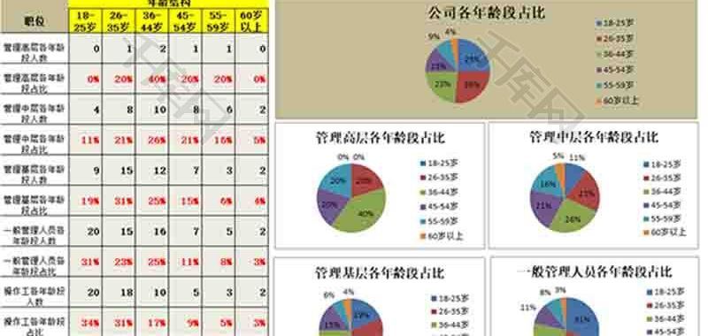 人力资源年龄结构分析饼形图excel模板