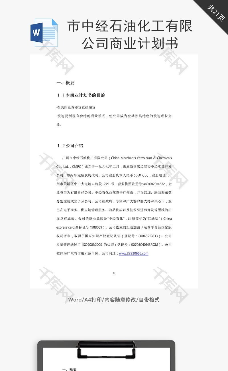 中经石油化工商业计划书word文档