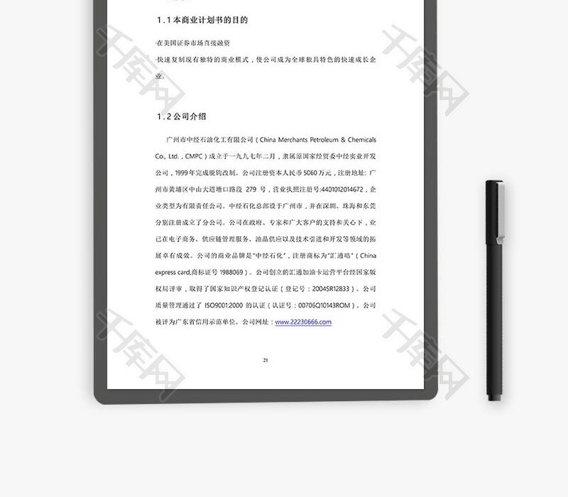 中经石油化工商业计划书word文档