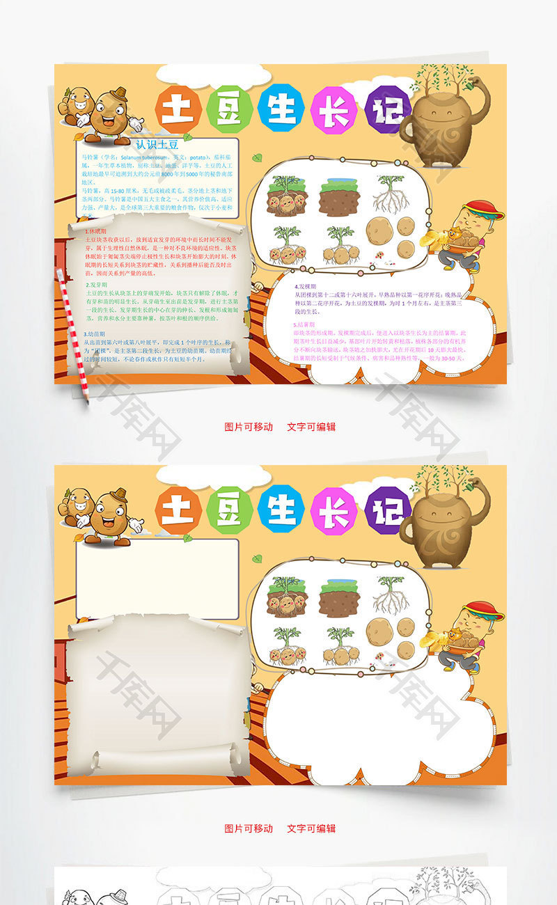 卡通土豆生长记word手抄报
