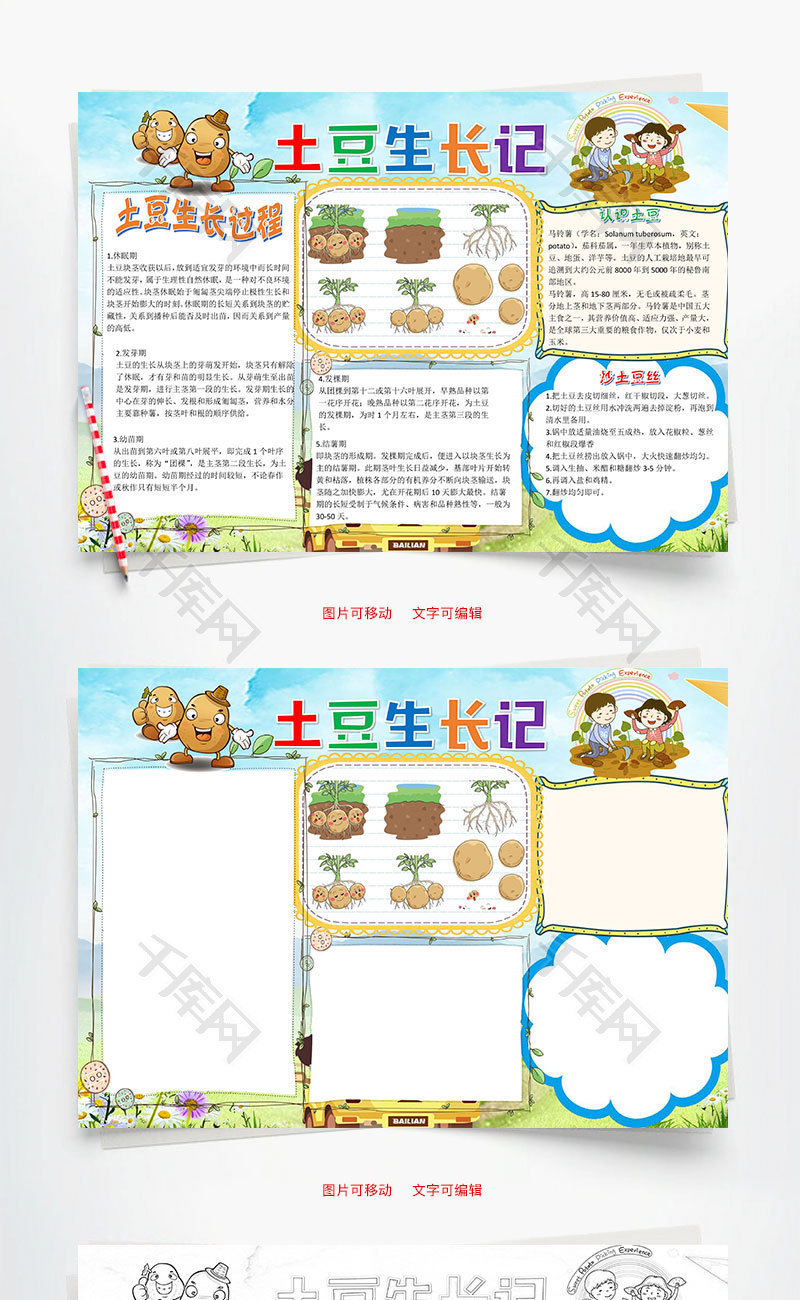儿童插画土豆生长记小报word手抄报