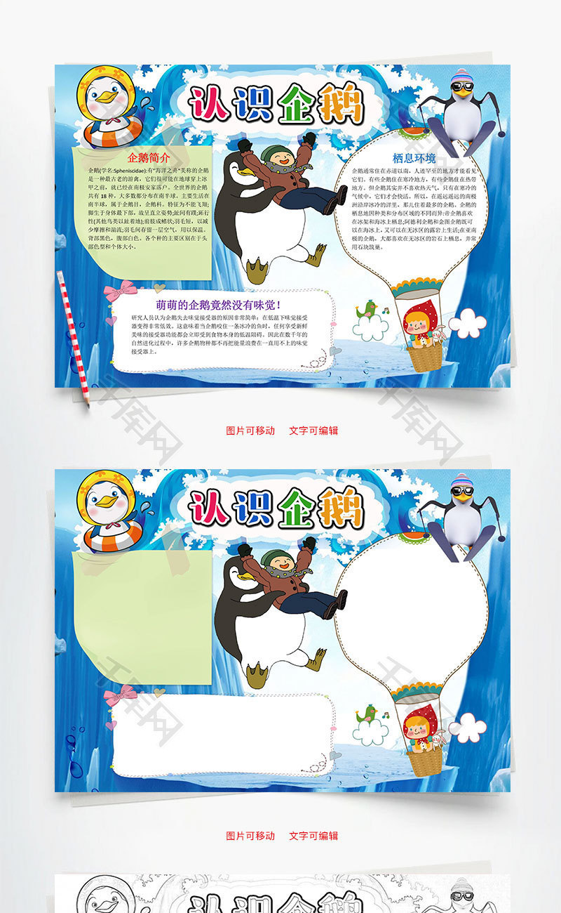 蓝色卡通认识企鹅小报word手抄报