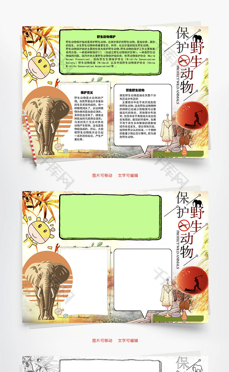 保护野生动物珍贵word手抄报