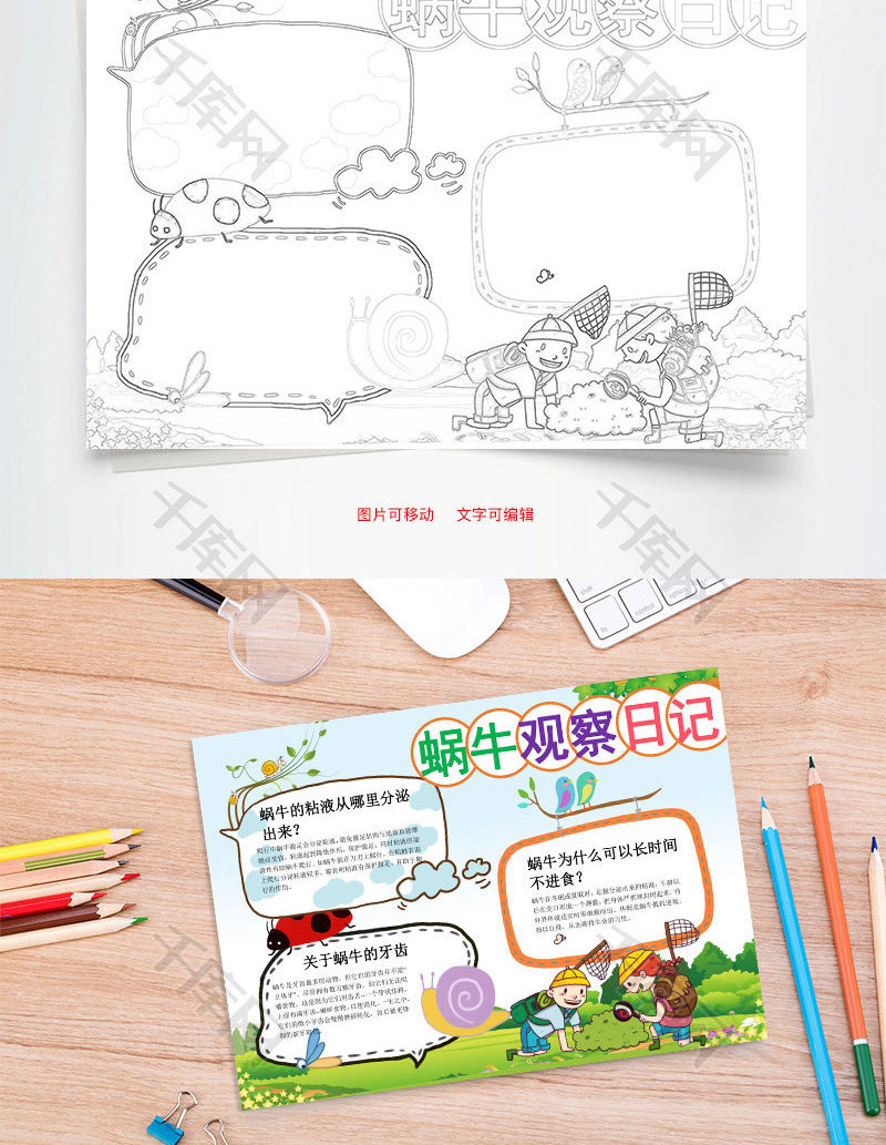 卡通蜗牛观察日记小报word手抄报