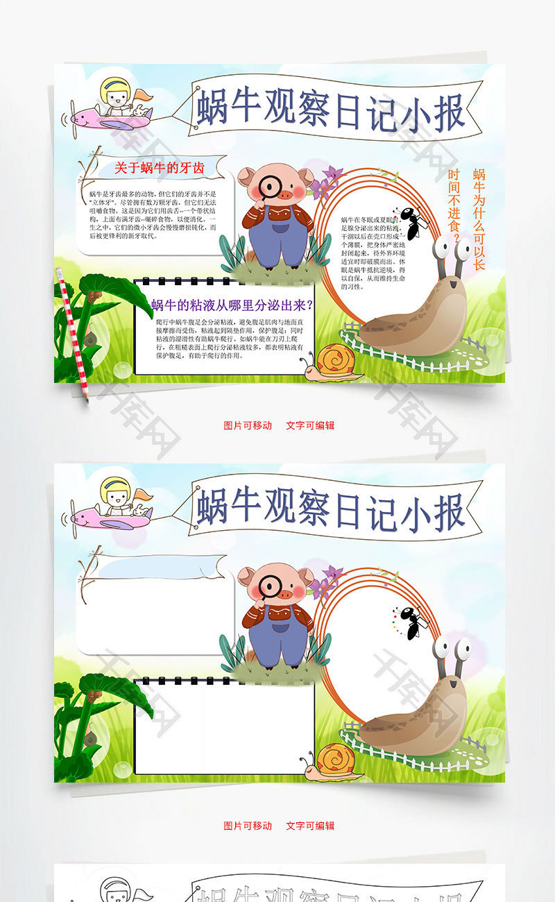 可爱蜗牛观察日记小报word手抄报
