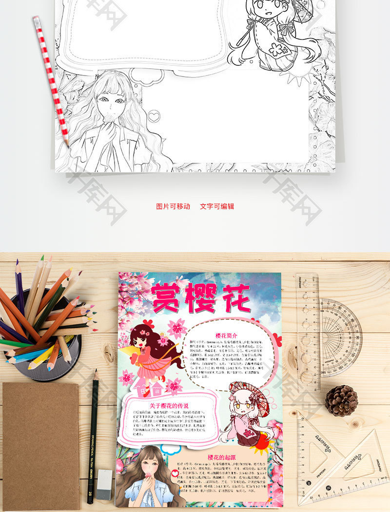 竖版唯美风赏樱花小报word手抄报