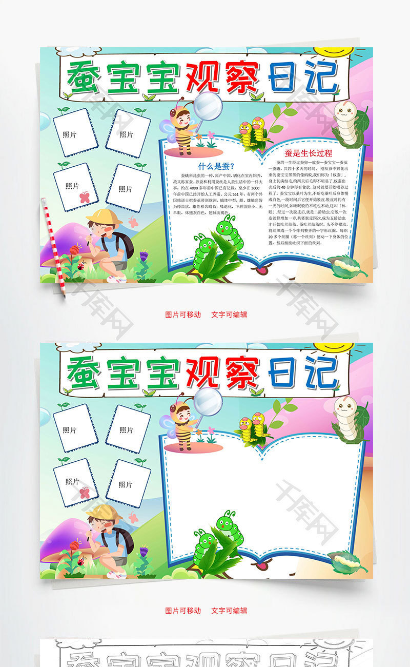 卡通蚕宝宝观察日记小报word手抄报