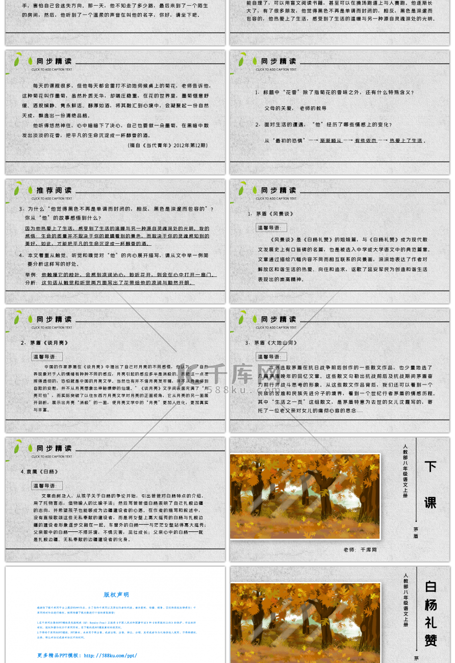 人教部语文八年级上册白杨礼赞语文课件PPT模板