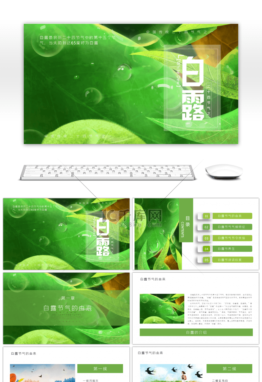 清新白露节气介绍PPT模板