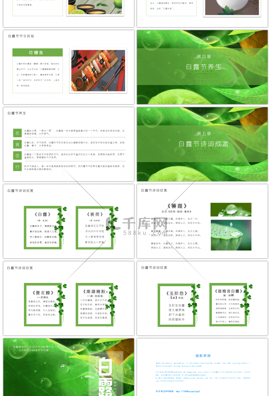 清新白露节气介绍PPT模板