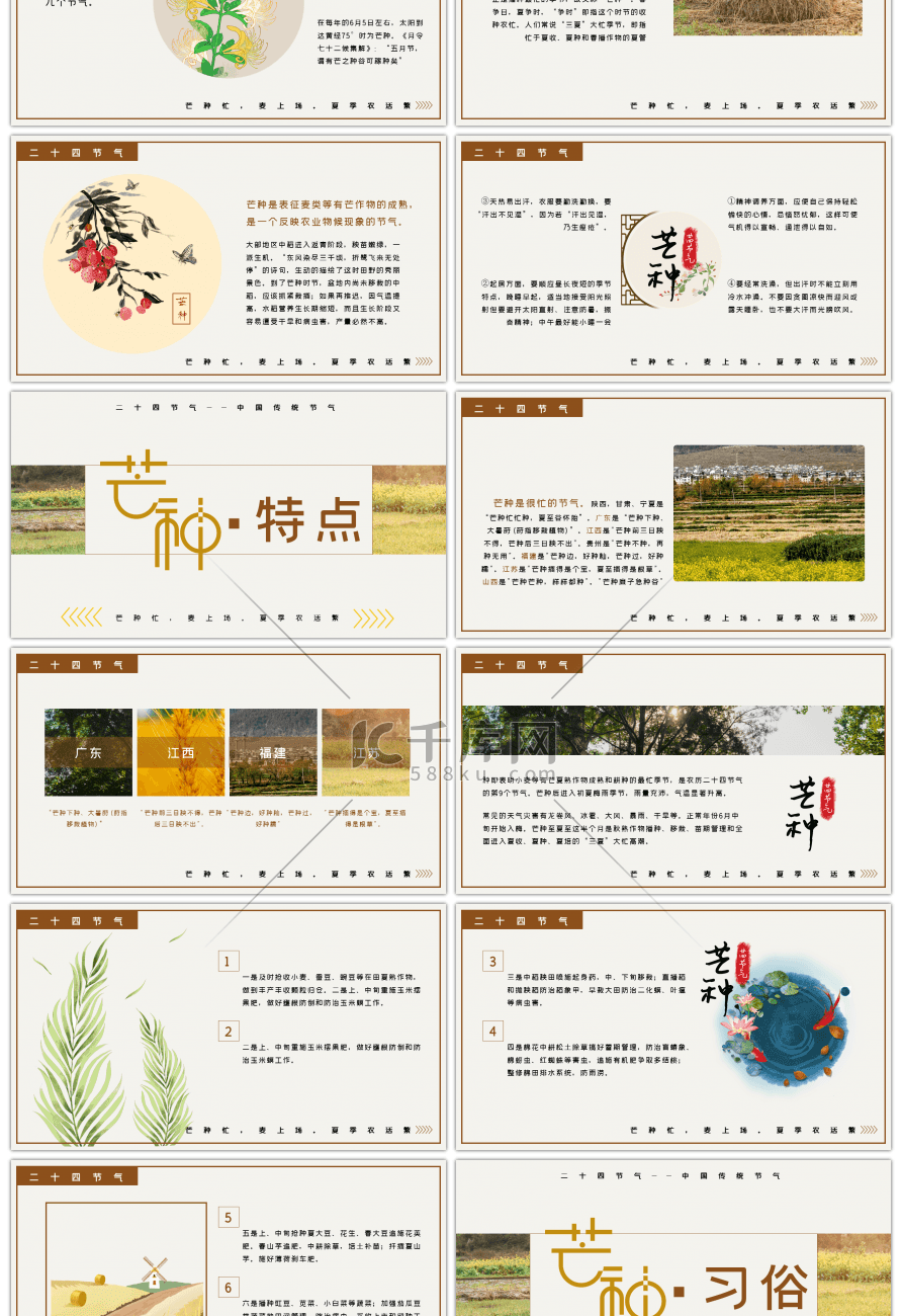 二十四节气之芒种大气节日介绍ppt模